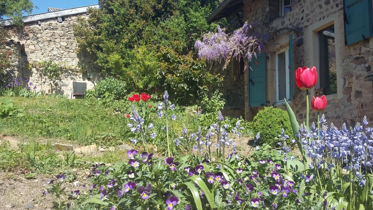 Guest house Domaine De La Fee-licite Jullie